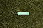 Gabriel Bortoleto - Formula 1 Keychain - Kick Sauber - F1 Gift